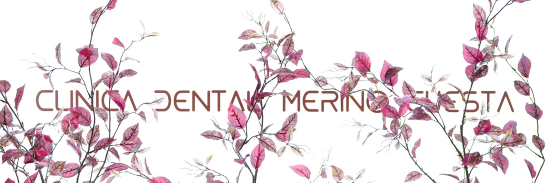 Clínica Dental Merino Cuesta